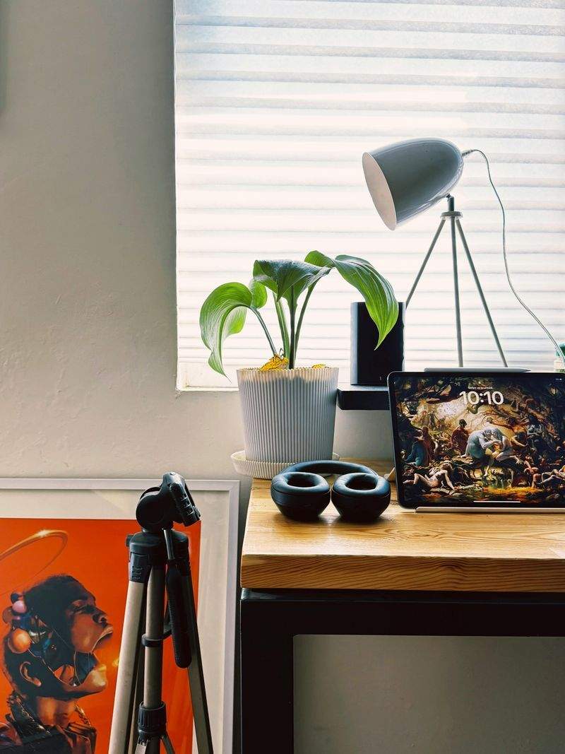 Grünes Paradies Pflanzenstudio - Image 10