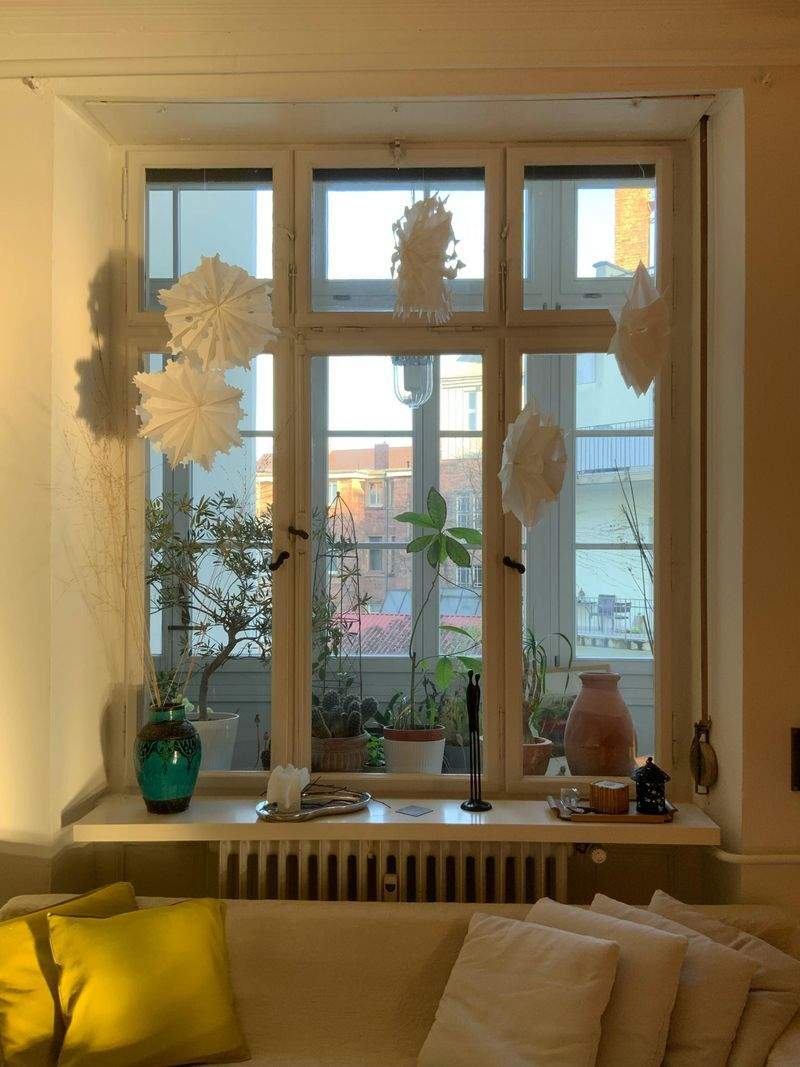 Grünes Paradies Pflanzenstudio - Image 14